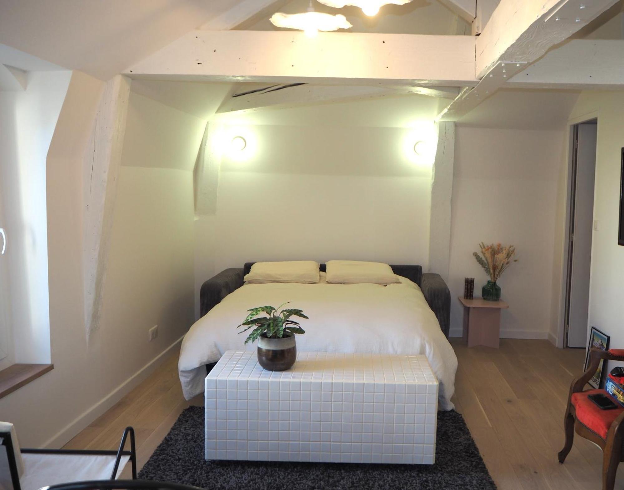 Les Baleines - Hypercentre 2 Chambres Avec Garage Et Clim - Air Conditioning 그르노블 외부 사진